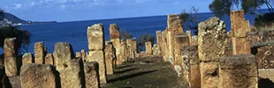 Roman ruins of Hippo Regius in Annaba Algeria